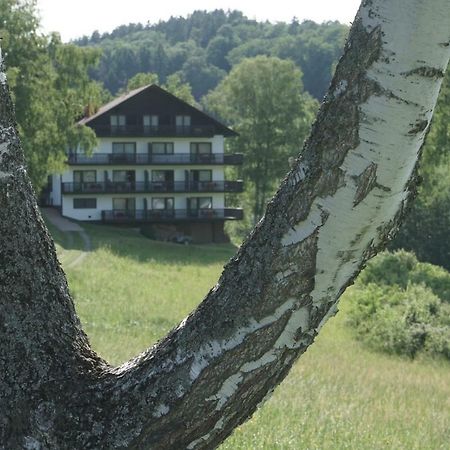 Birkenhof Hotell Wald-Michelbach Eksteriør bilde
