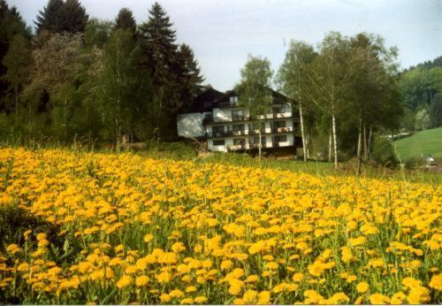 Birkenhof Hotell Wald-Michelbach Eksteriør bilde