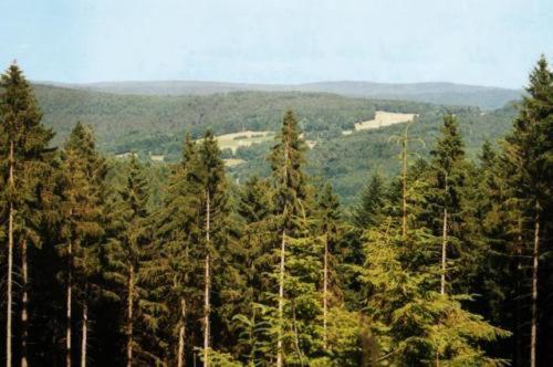 Birkenhof Hotell Wald-Michelbach Eksteriør bilde