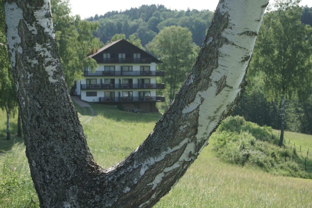 Birkenhof Hotell Wald-Michelbach Eksteriør bilde
