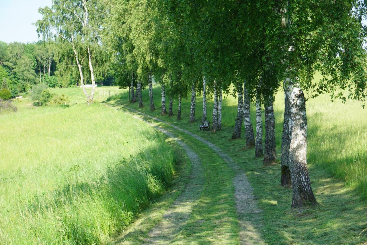 Birkenhof Hotell Wald-Michelbach Eksteriør bilde