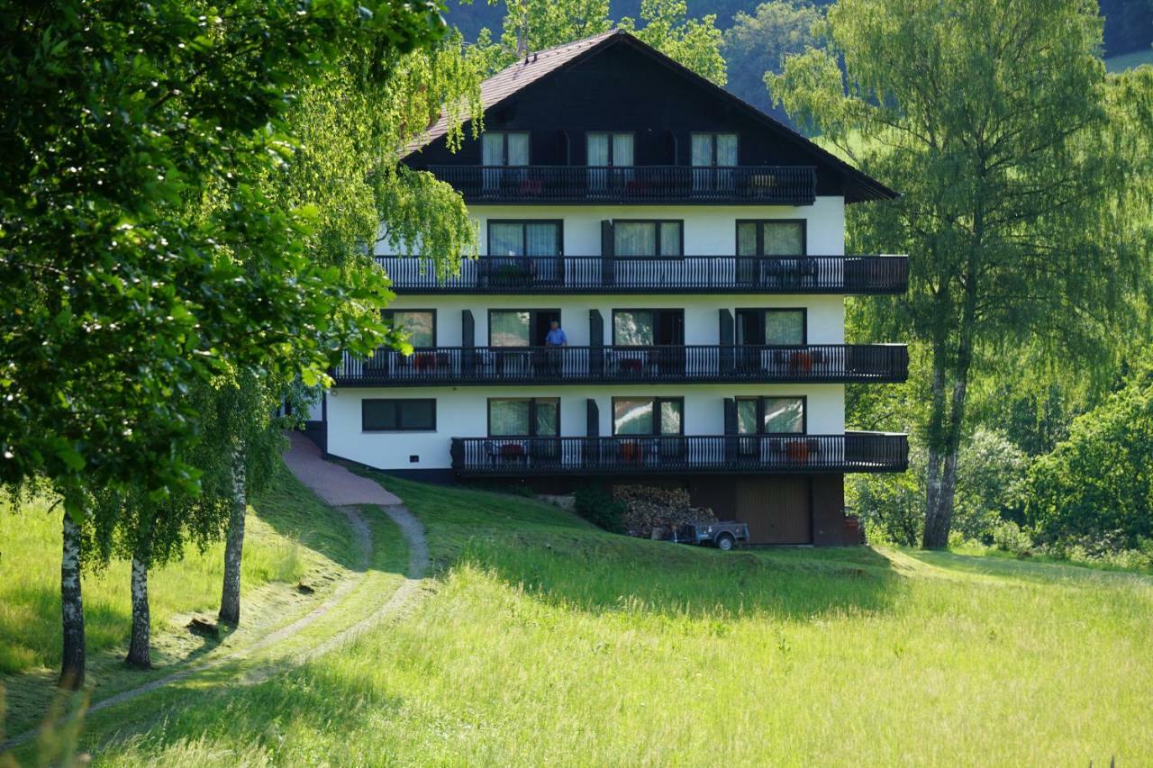 Birkenhof Hotell Wald-Michelbach Eksteriør bilde